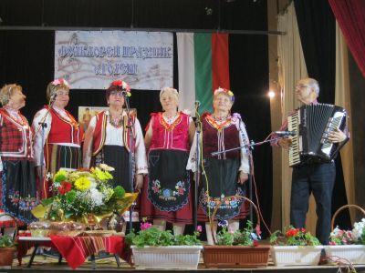 Фолклорен празник в село Голеш 10